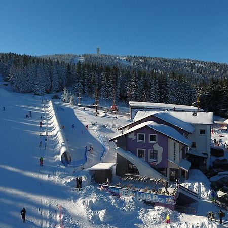 Pension Max Klinovec Лоучна-под-Кліновцем Екстер'єр фото